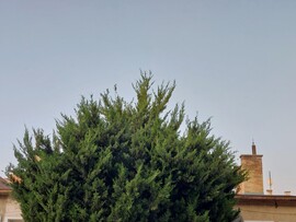 Vác