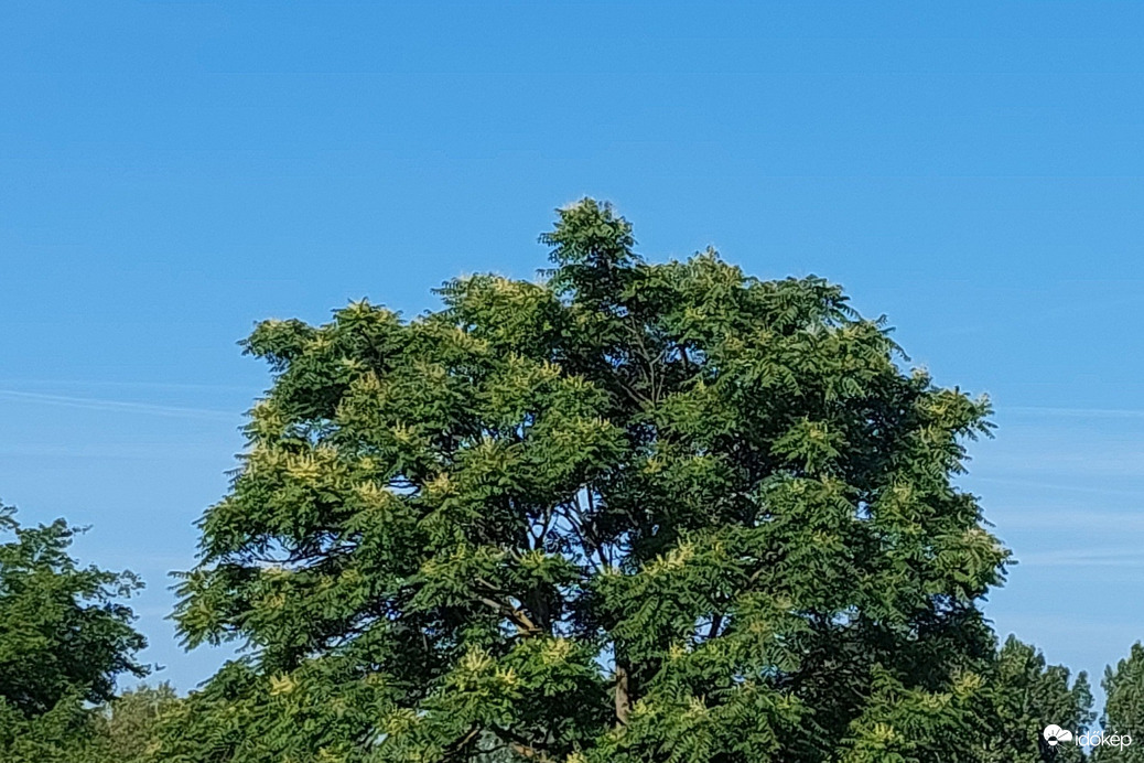 Vác