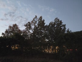 Vác