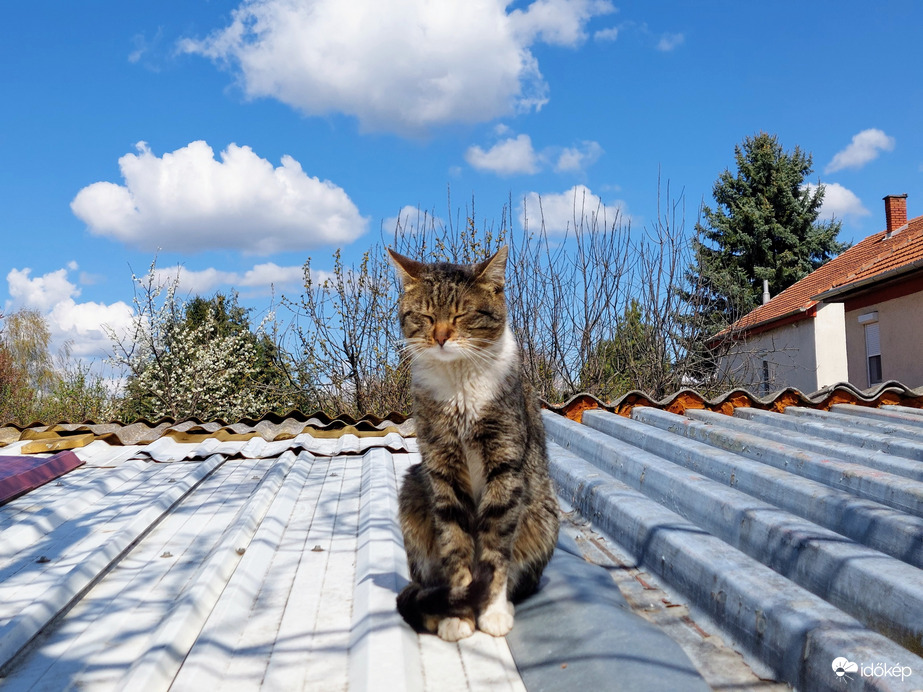 Na jó egy kicsit a kedvedért pózolok