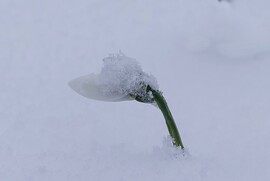 Hóból is megárt a sok