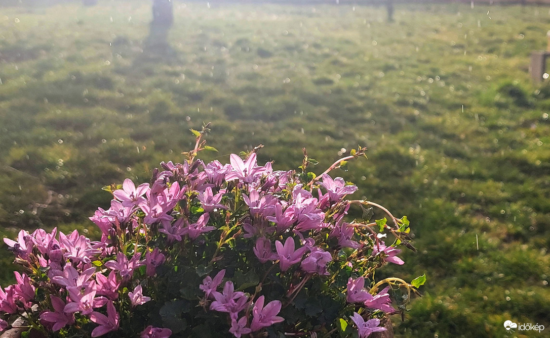 Pár cseppnyi boldogság 