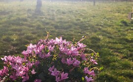 Pár cseppnyi boldogság 