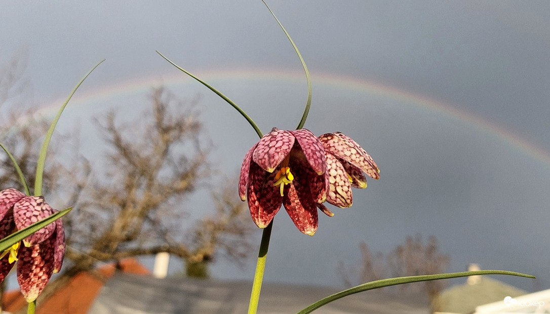 A szivárványhíd alatt