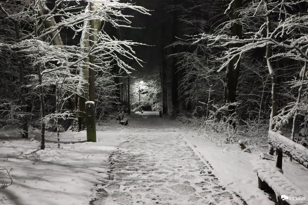 Fehérben a legszebb 