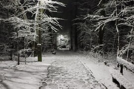 Fehérben a legszebb 