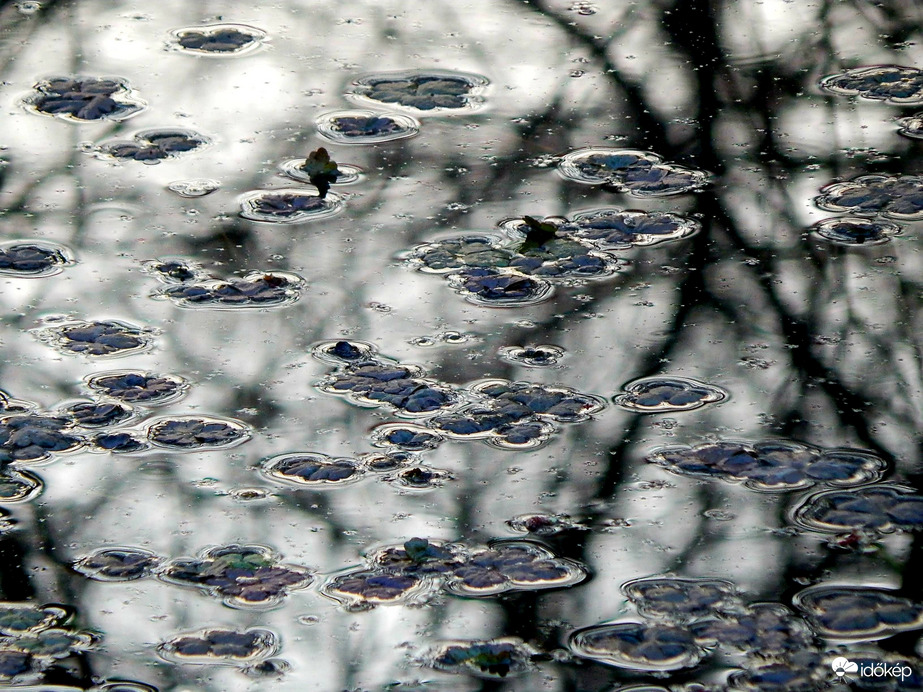 Sósi-patak az esti szürkületben