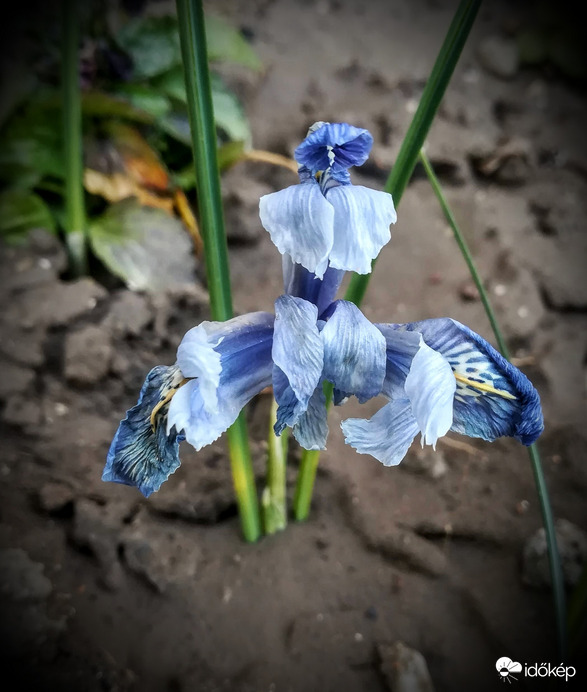 A tárt karokkal fogadó