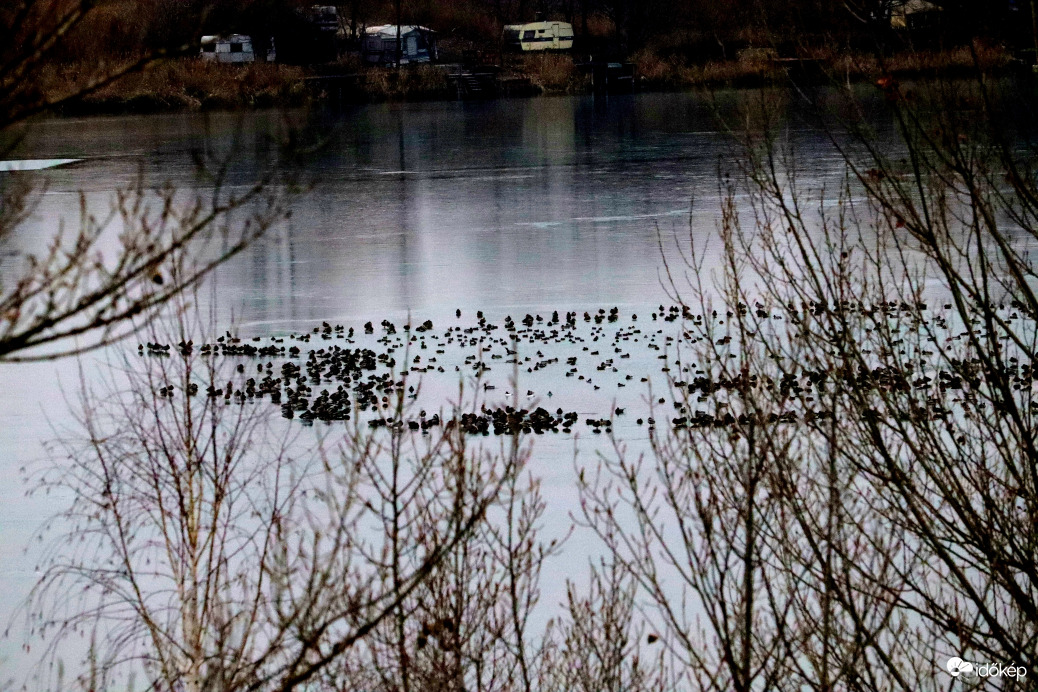 Kacsacsapat a befagyott bányató közepén