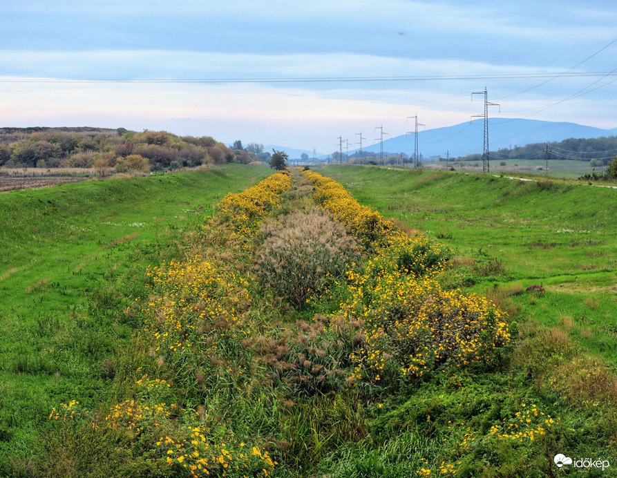 Ameddig a szem ellàt