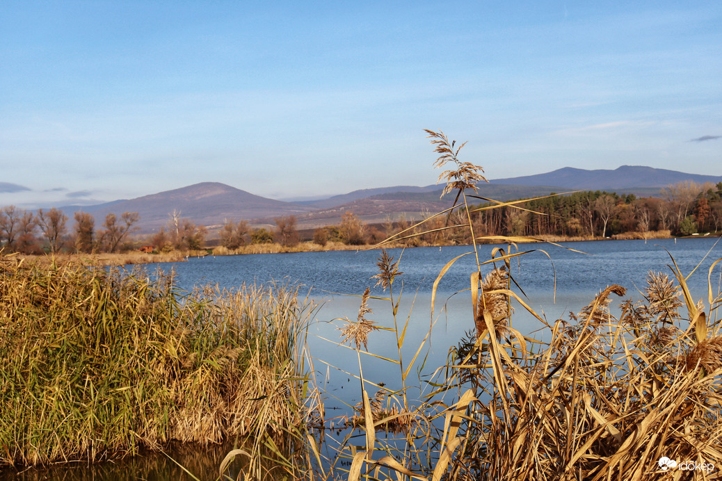 Nagyrédei-Horgásztó 