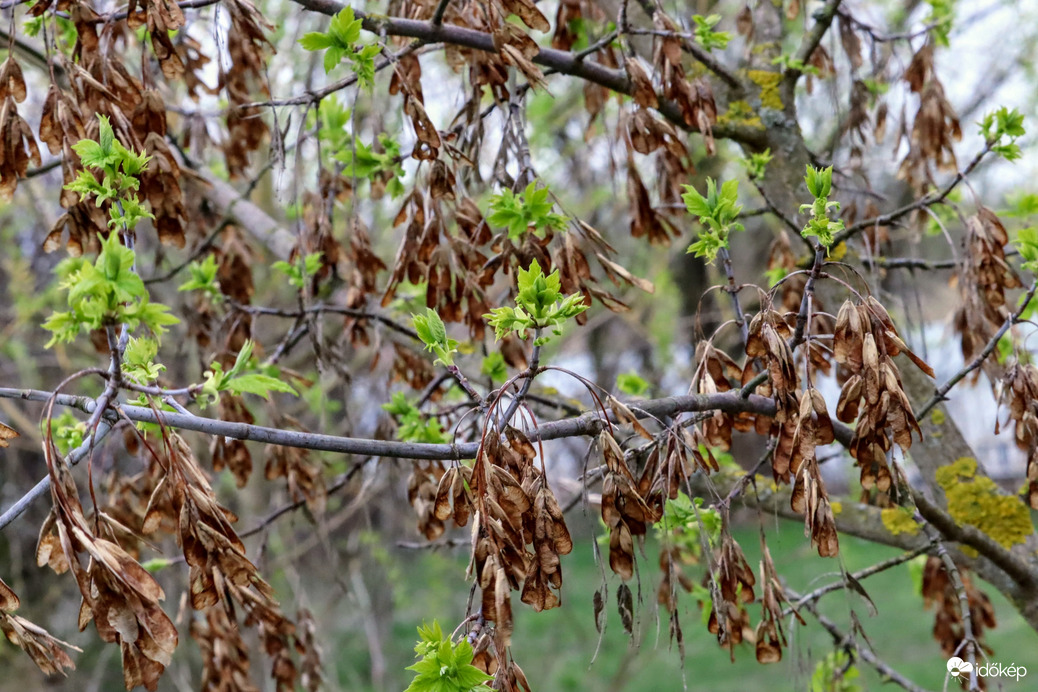 Múl, jelen, jövő II.