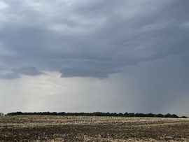 Lőkösháza
