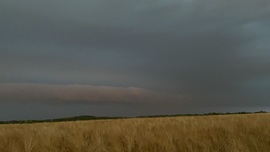 Lőkösháza