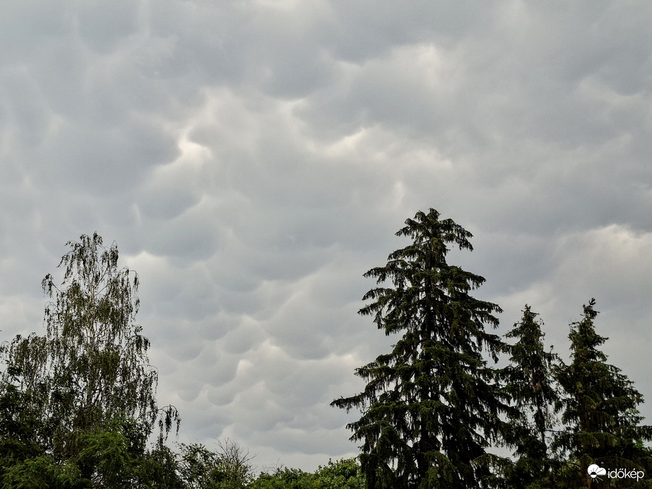 Mammatus 
