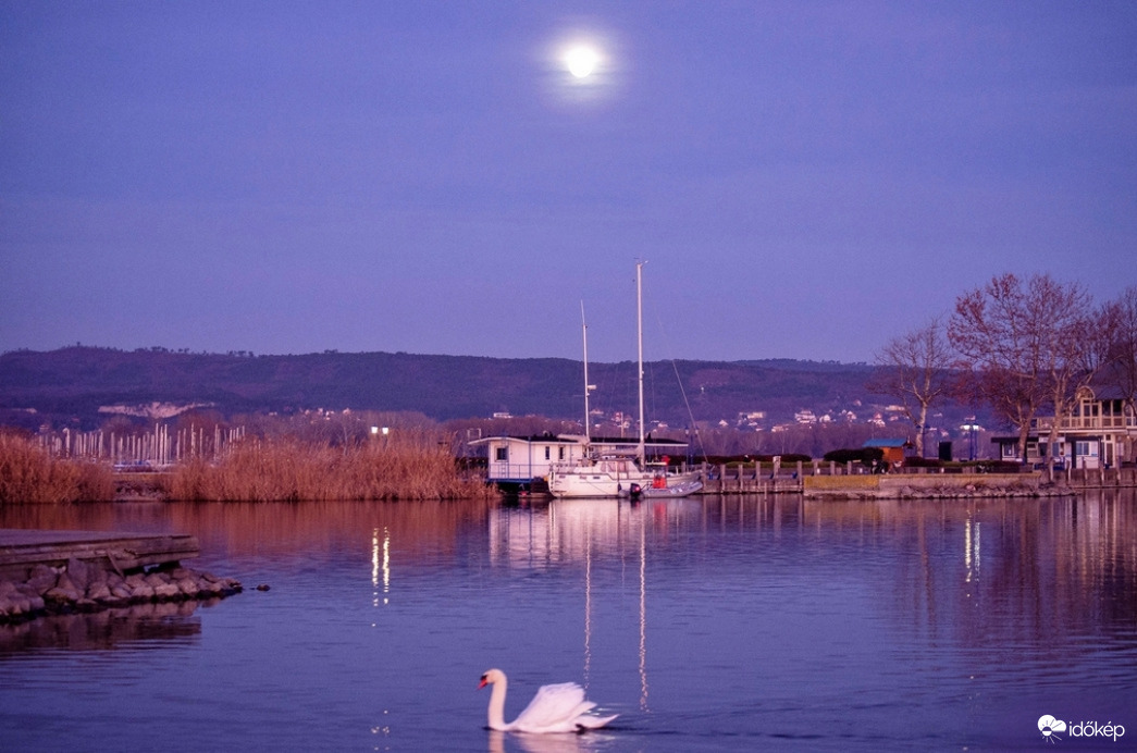 Holdfényes csendélet 
