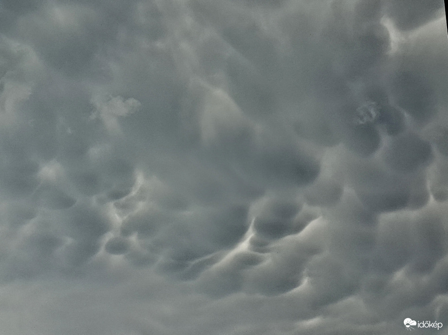 Mammatus 