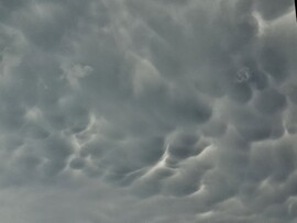 Mammatus 