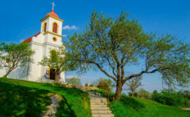 Tavaszi csend a dombtetőn 