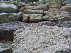 Kötődés