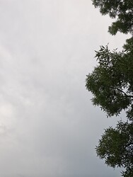 Tiszaújváros
