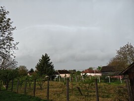 Kölcse