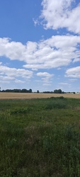 A határban