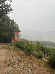Žejno