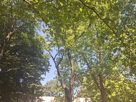 Győr