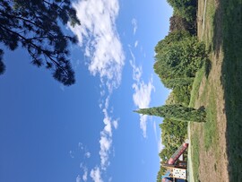 Győr