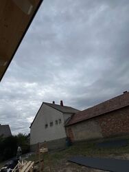 Kóny