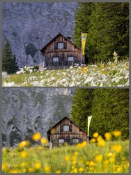 Admont