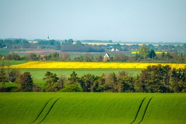 Nagyvenyim