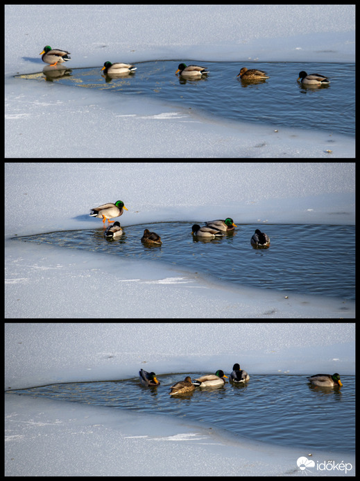 Az egy-két fokos víz mégis melegebb. 