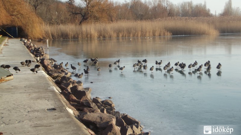 Balatonfűzfő