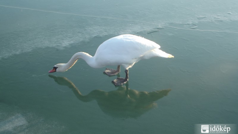 Balatonfűzfő