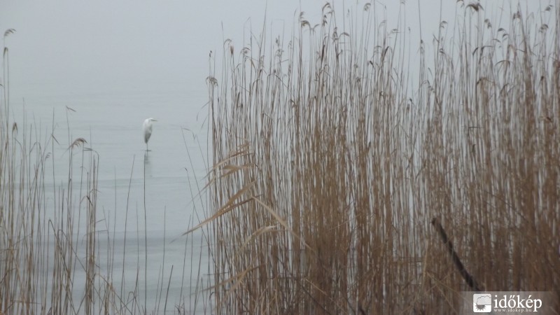 Balatonfűzfő
