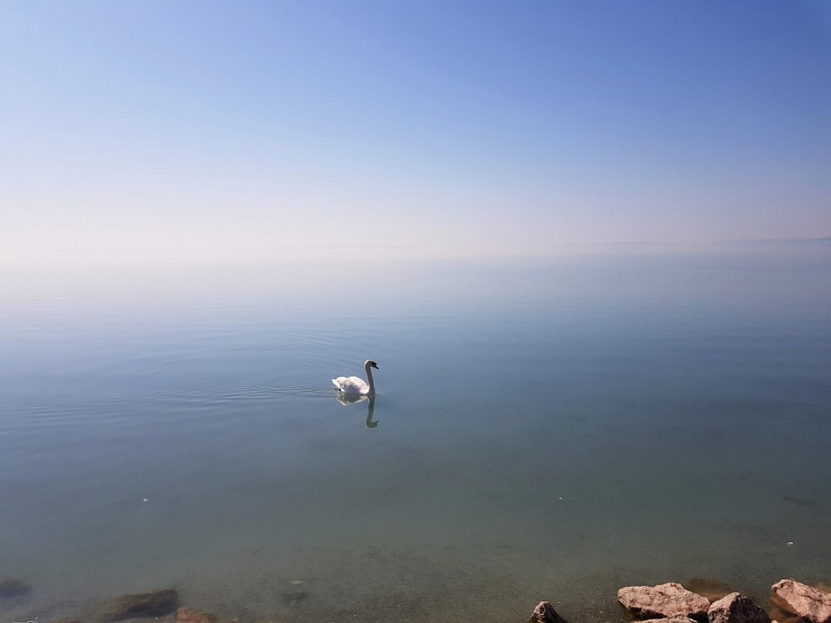 Balatonfűzfő