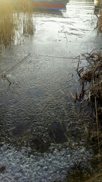Balatonfűzfő