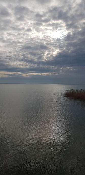 Balatonfűzfő