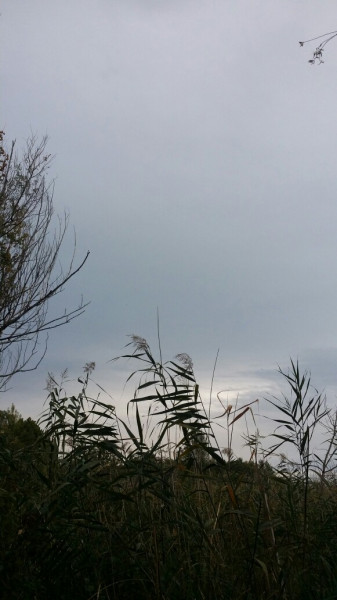 Balatonfűzfő