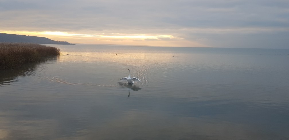 Balatonfűzfő