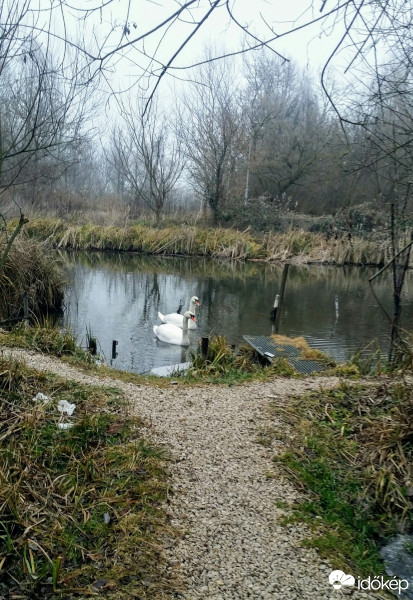 Balatonfűzfő