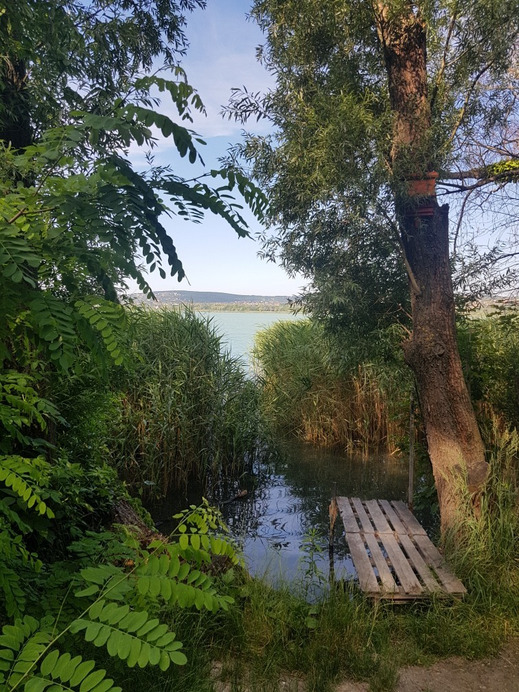 Balatonfűzfő