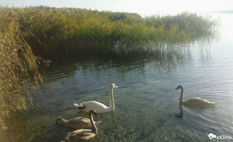 Balatonfűzfő