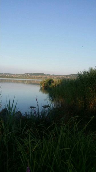 Balatonfűzfő