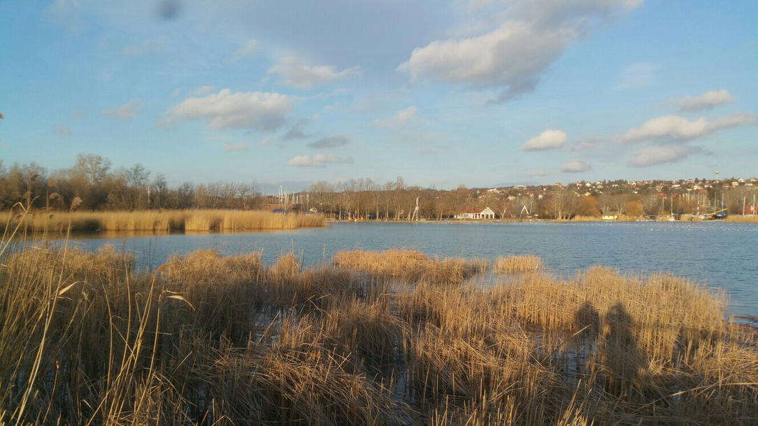Balatonfűzfő