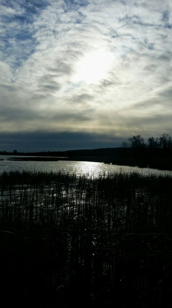 Balatonfűzfő