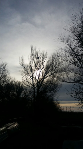 Balatonfűzfő