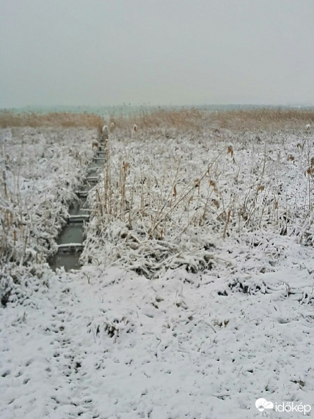 Balatonfűzfő